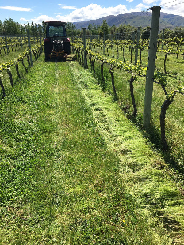 What is Regenerative Agriculture?